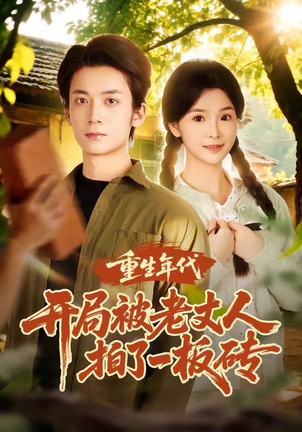 重生年代开局被老丈人拍了一板砖